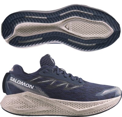 Salomon Aero Glide 4